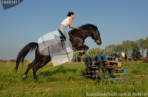 Image of jumping horse