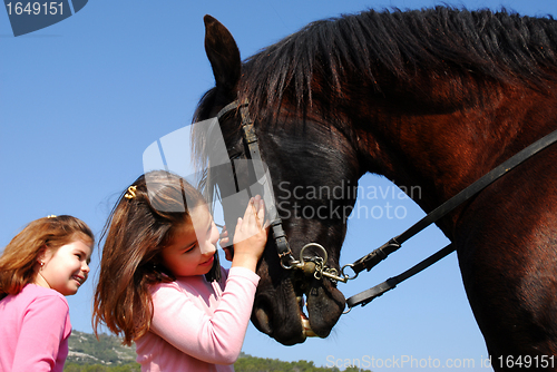 Image of twins and horse