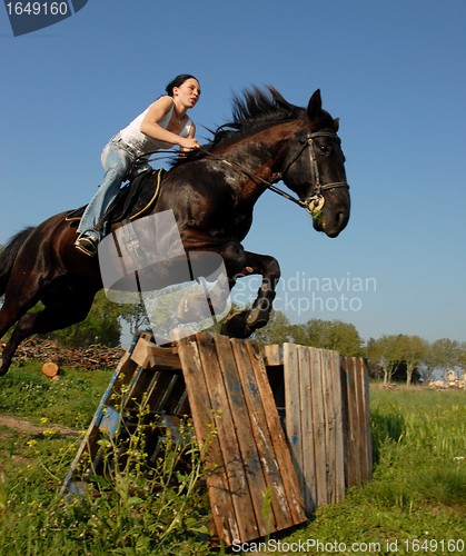 Image of jumping horse