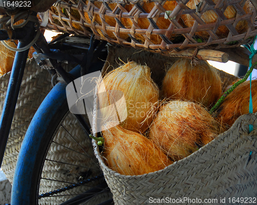 Image of coconut