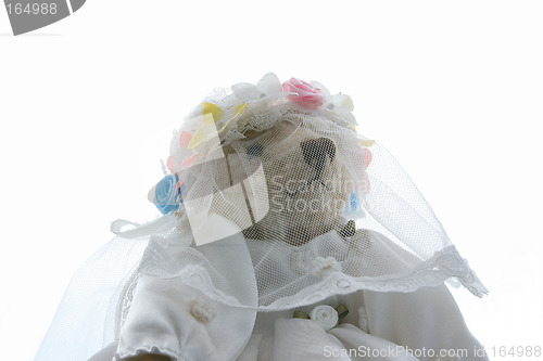 Image of bride teddy