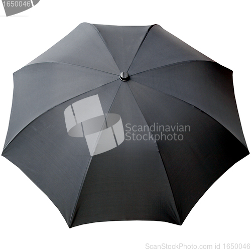 Image of Umbrella