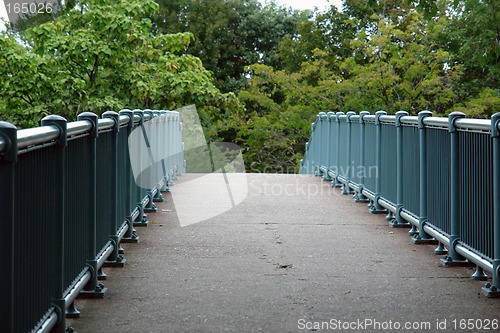 Image of Bridge to Eden