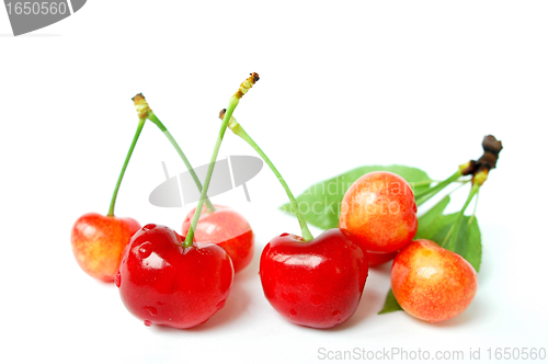 Image of Red cherry fruits on a white background