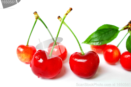 Image of Red cherry fruits on a white background