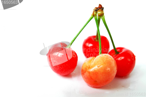 Image of Red cherry fruits on a white background