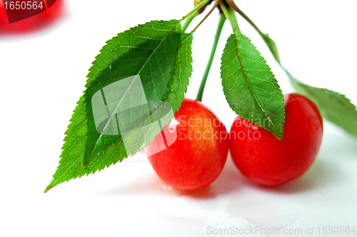 Image of Red cherry fruits on a white background