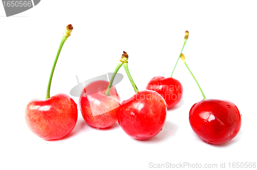 Image of Red cherry fruits on a white background