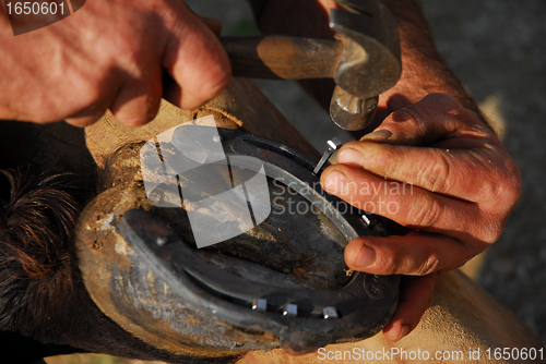 Image of farrier