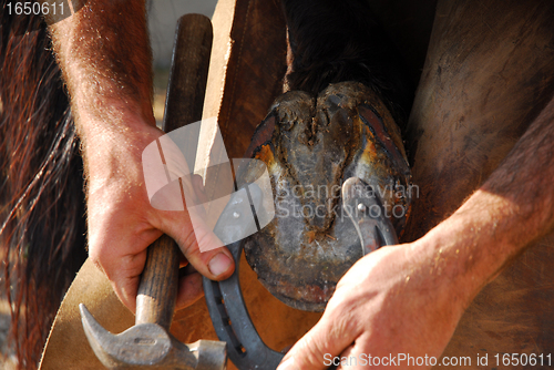 Image of farrier