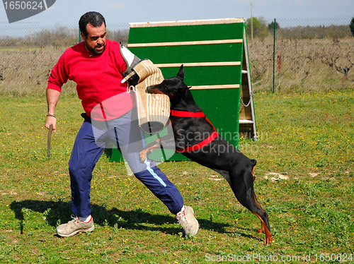 Image of training of biting