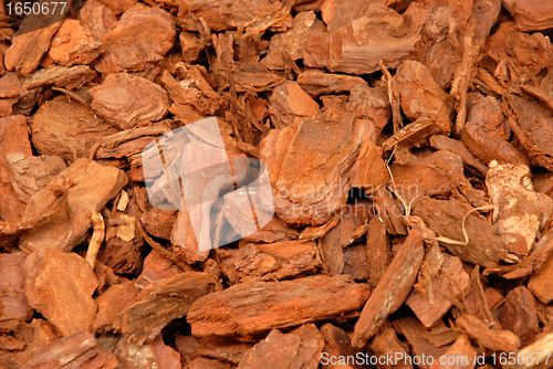 Image of Wood Bark Chippings