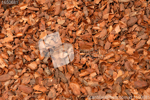 Image of Wood Bark Chippings