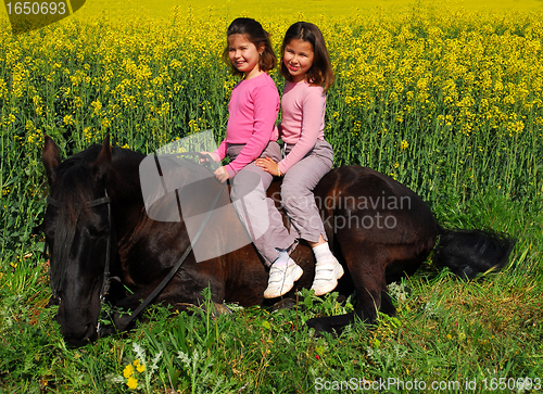 Image of twins and horse laid down