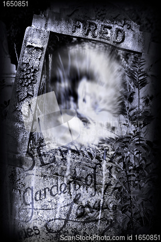Image of Cemetary ghost
