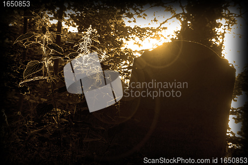 Image of Cemetary