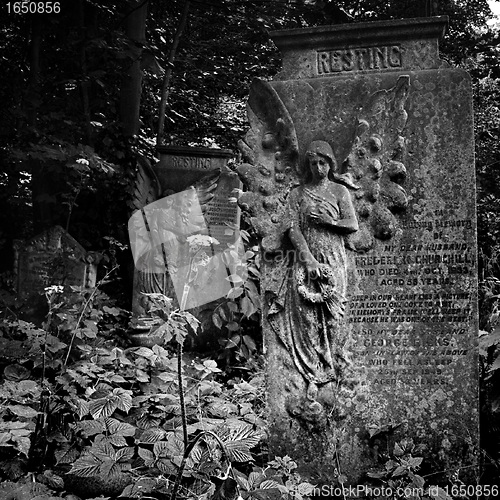 Image of Graves