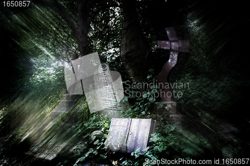 Image of Dreamy graveyard