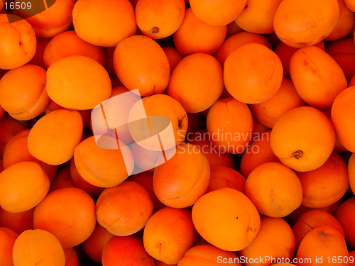 Image of Apricots