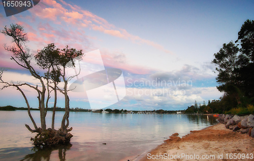 Image of sunset over mangrove tree