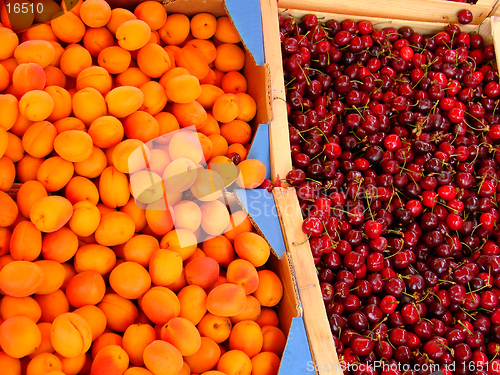 Image of Apricots and cherries