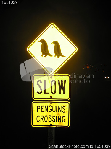 Image of Penguins Crossing Sign, New Zealand