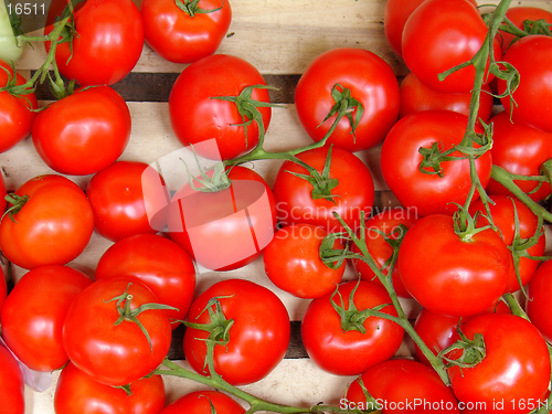 Image of Fresh tomatoes