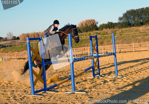 Image of jumping horse