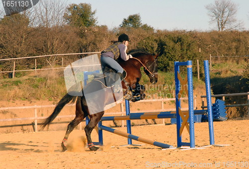 Image of jumping horse