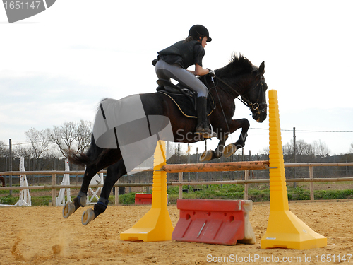 Image of jumping horse