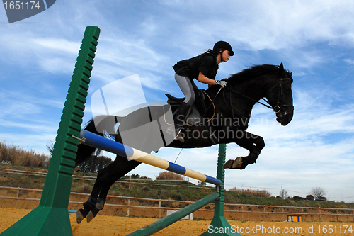 Image of jumping horse