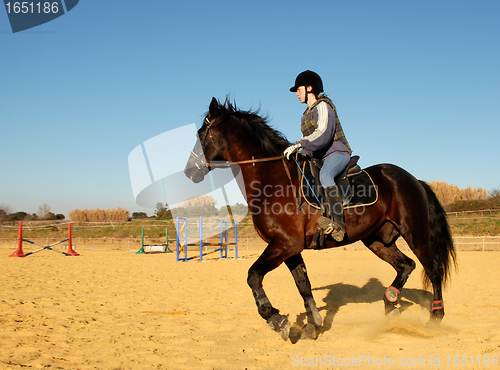 Image of horse and woman in dressage