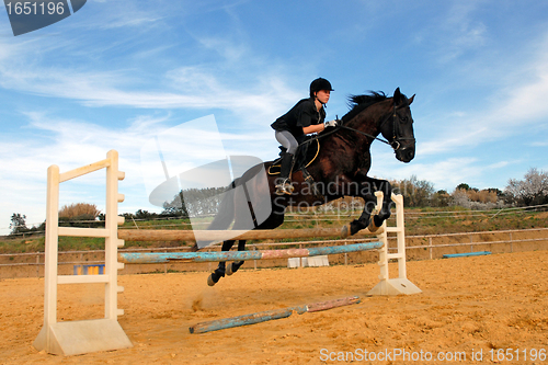 Image of jumping horse