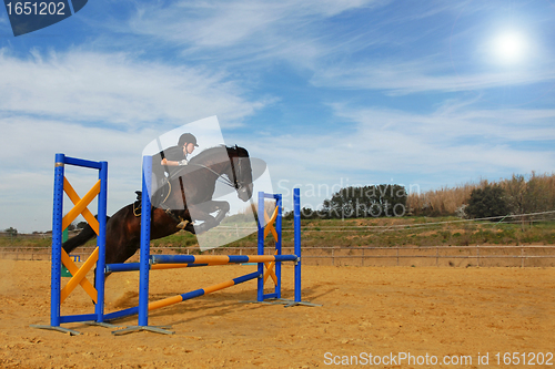 Image of jumping horse