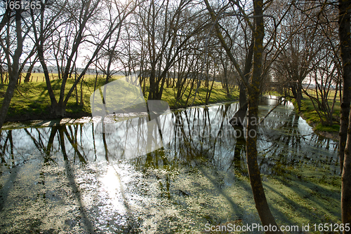 Image of river