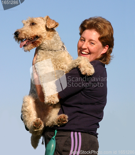 Image of fox terrier 