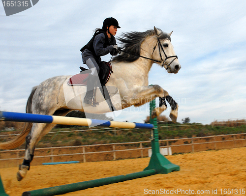 Image of jumping horse