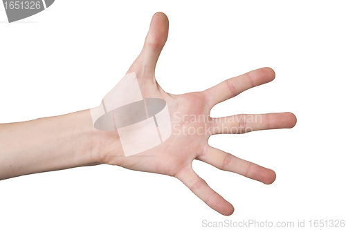 Image of boy hand (palm) isolated on white background