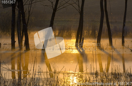 Image of sunrise on the lake in Ukraine