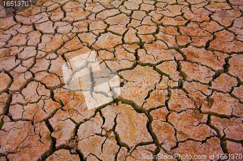 Image of cracked earth - concept image of global warming