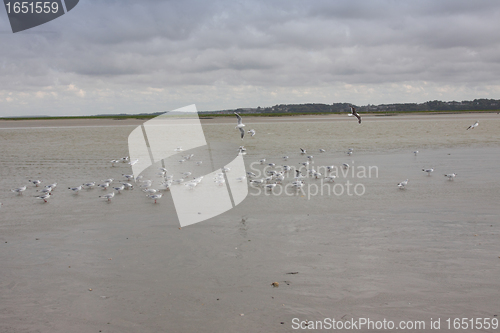 Image of seascape and beach at low tide on the coast of opal in France