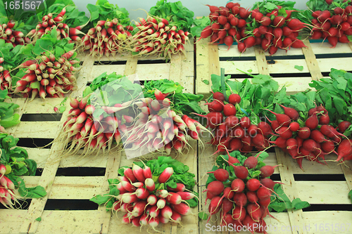 Image of bunches of fresh radishes on a market stall