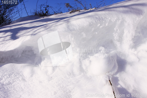 Image of campaign under the sun and winter snow