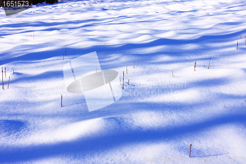 Image of campaign under the sun and winter snow