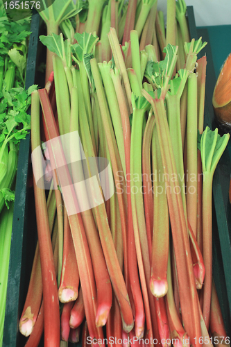Image of branch of fresh rhubarb on a market stall