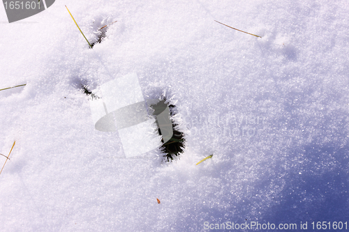 Image of campaign under the sun and winter snow