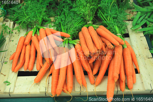 Image of bunches of fresh carrots on a market stall