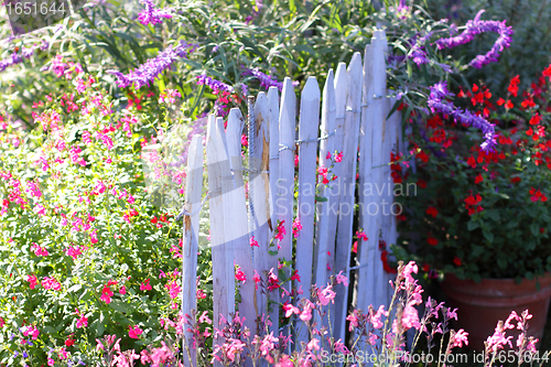 Image of blue wooden barrier with multicolored flowers of spring