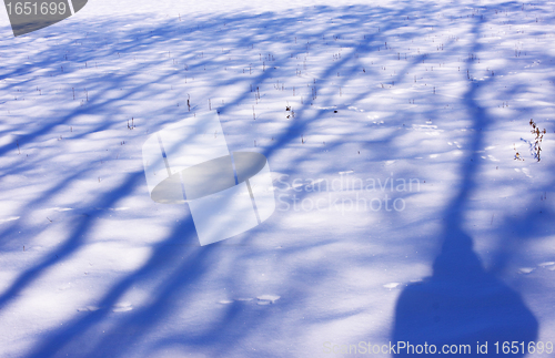 Image of campaign under the sun and winter snow