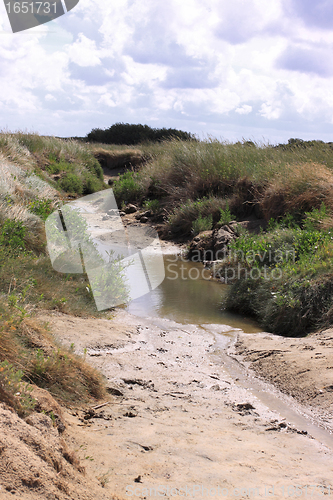 Image of seascape and beach at low tide on the coast of opal in France